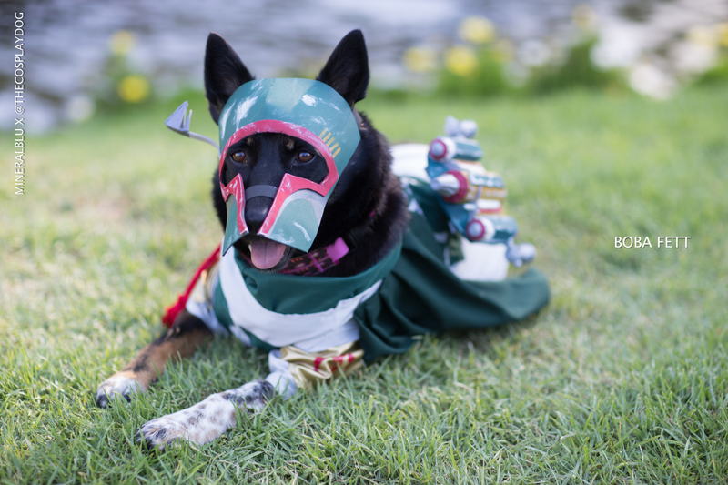 Cosplay by thecosplaydog